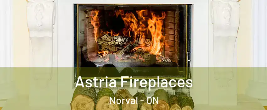  Astria Fireplaces Norval - ON
