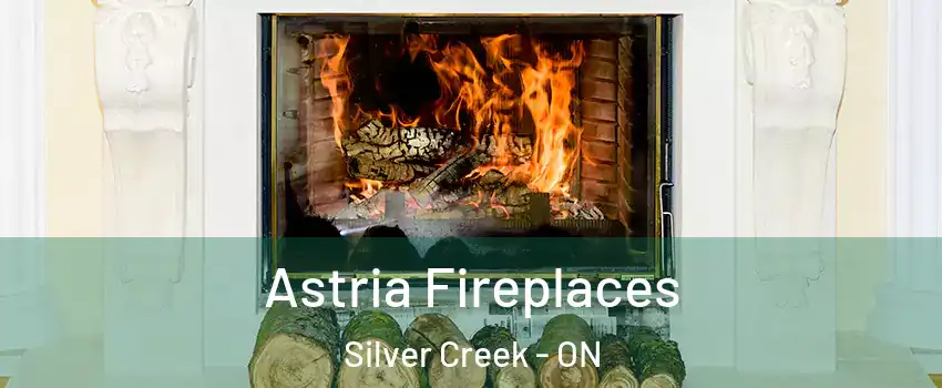  Astria Fireplaces Silver Creek - ON
