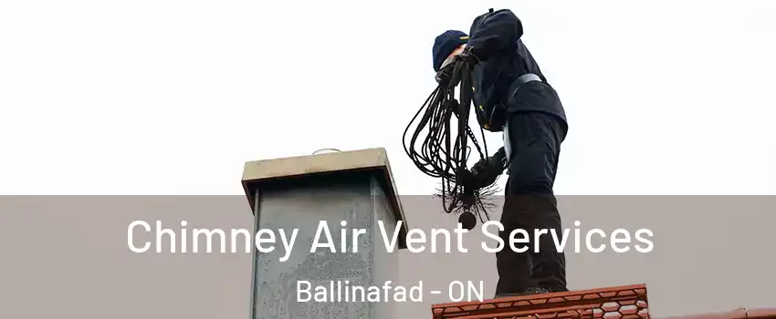  Chimney Air Vent Services Ballinafad - ON
