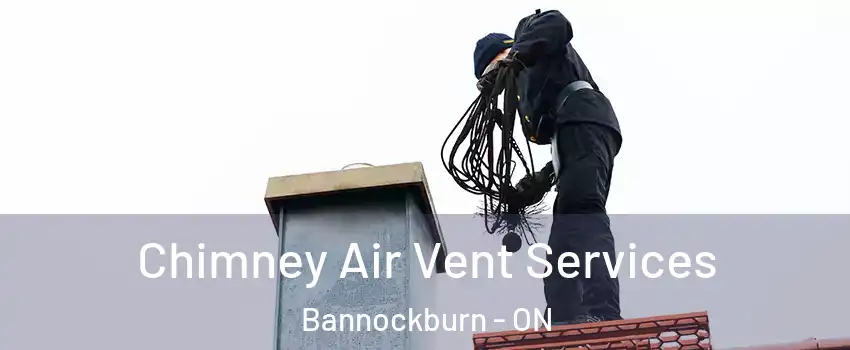  Chimney Air Vent Services Bannockburn - ON