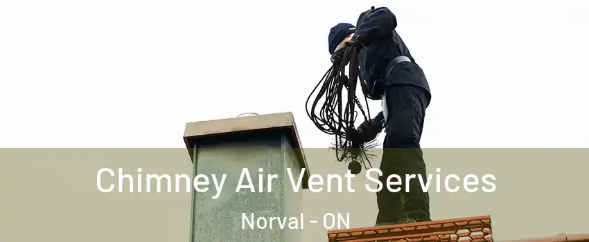  Chimney Air Vent Services Norval - ON