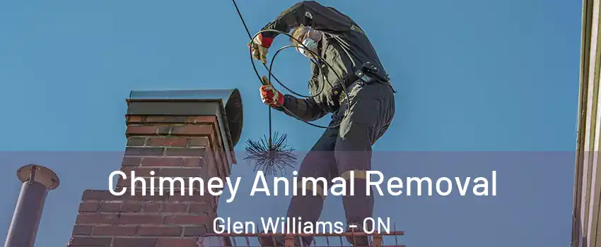  Chimney Animal Removal Glen Williams - ON