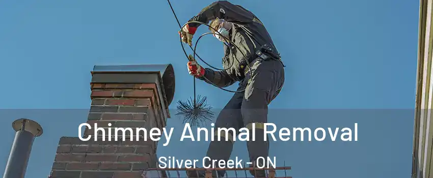  Chimney Animal Removal Silver Creek - ON