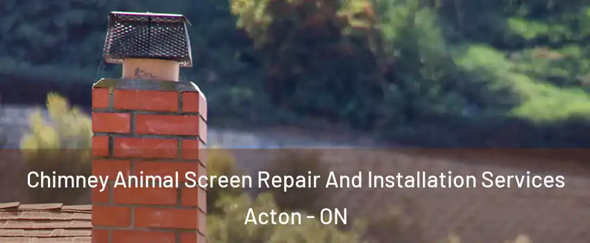  Chimney Animal Screen Repair And Installation Services Acton - ON