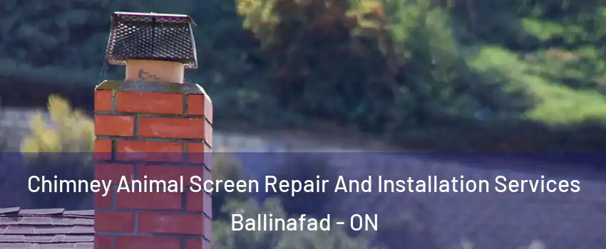  Chimney Animal Screen Repair And Installation Services Ballinafad - ON