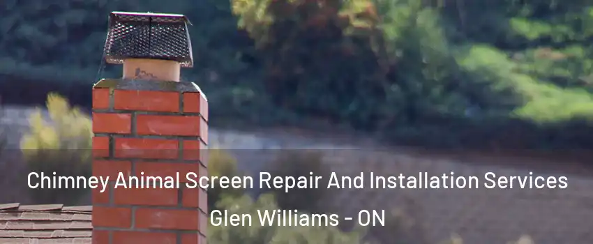  Chimney Animal Screen Repair And Installation Services Glen Williams - ON
