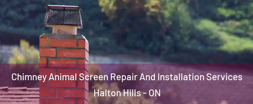  Chimney Animal Screen Repair And Installation Services Halton Hills - ON