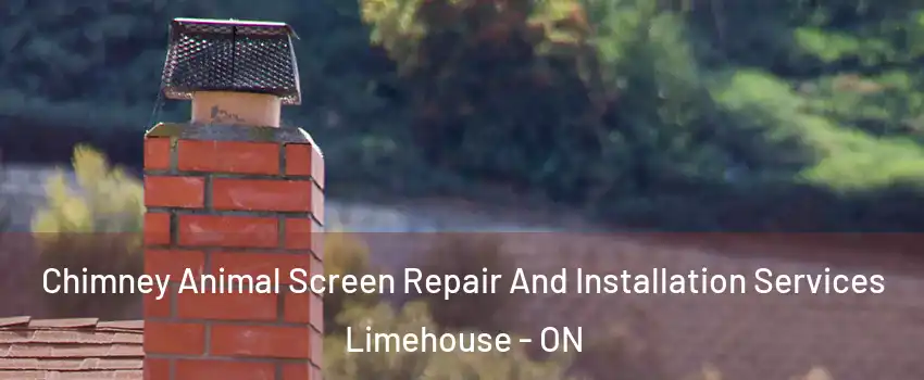  Chimney Animal Screen Repair And Installation Services Limehouse - ON
