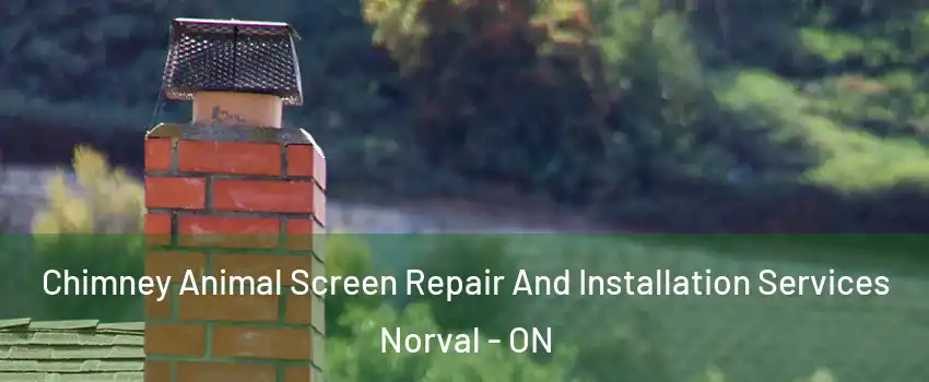  Chimney Animal Screen Repair And Installation Services Norval - ON
