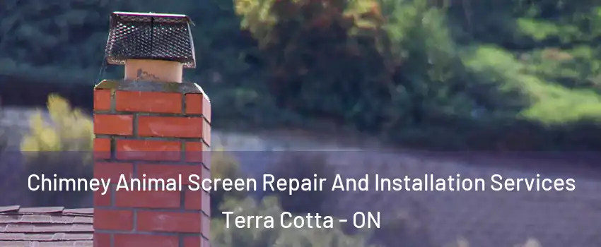  Chimney Animal Screen Repair And Installation Services Terra Cotta - ON