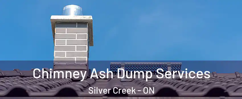  Chimney Ash Dump Services Silver Creek - ON