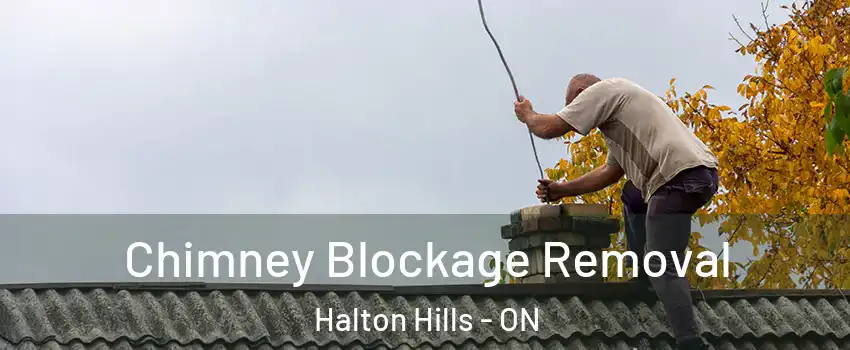  Chimney Blockage Removal Halton Hills - ON
