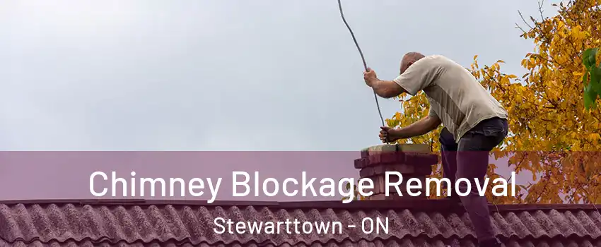  Chimney Blockage Removal Stewarttown - ON
