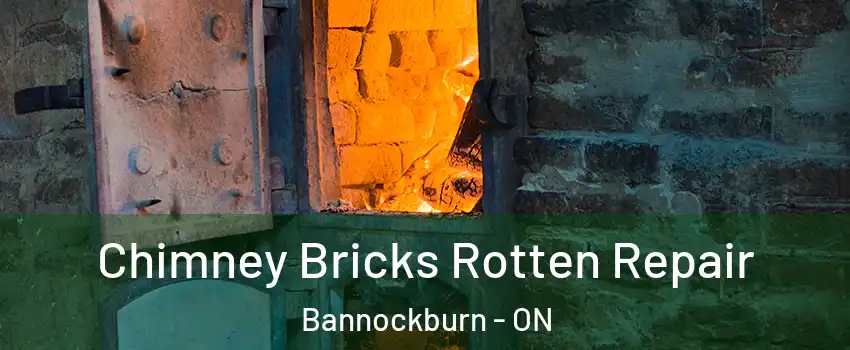  Chimney Bricks Rotten Repair Bannockburn - ON