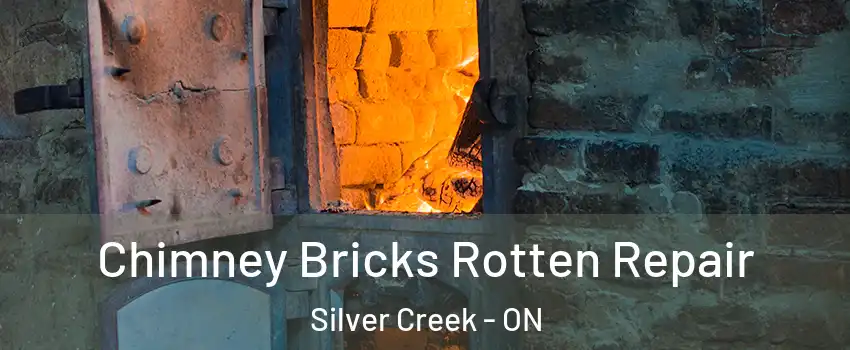  Chimney Bricks Rotten Repair Silver Creek - ON