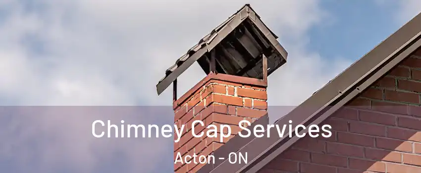  Chimney Cap Services Acton - ON