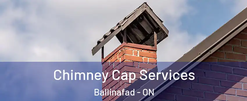  Chimney Cap Services Ballinafad - ON