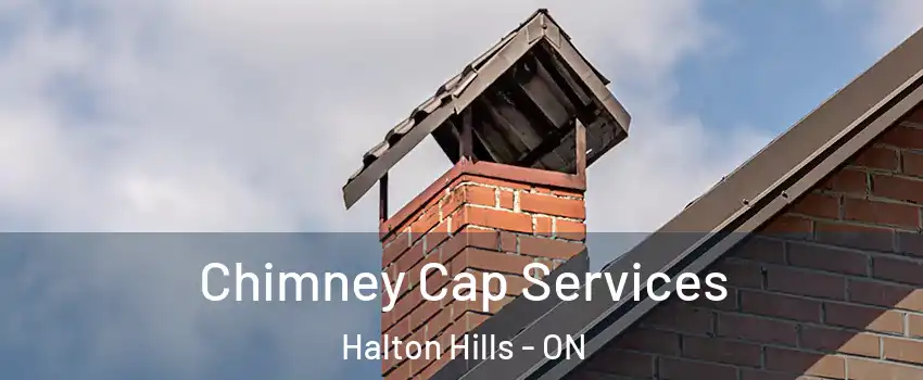  Chimney Cap Services Halton Hills - ON