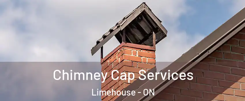  Chimney Cap Services Limehouse - ON