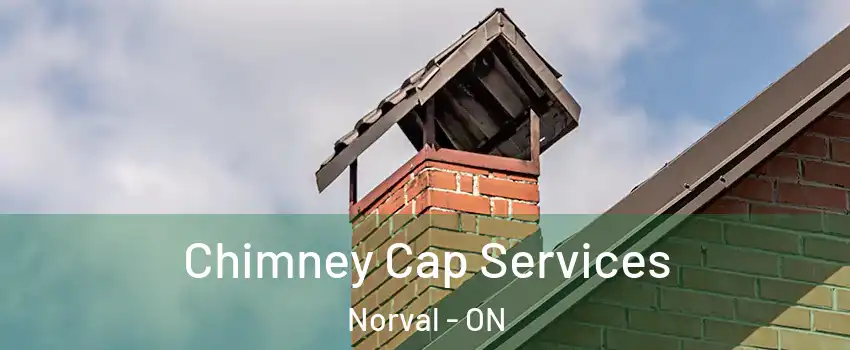  Chimney Cap Services Norval - ON