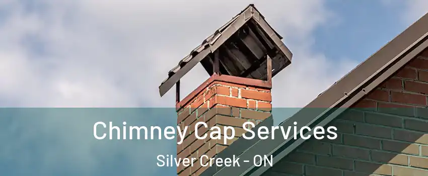  Chimney Cap Services Silver Creek - ON