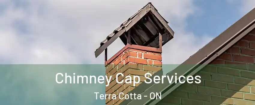  Chimney Cap Services Terra Cotta - ON