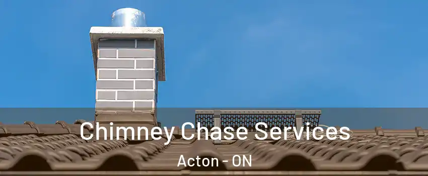  Chimney Chase Services Acton - ON