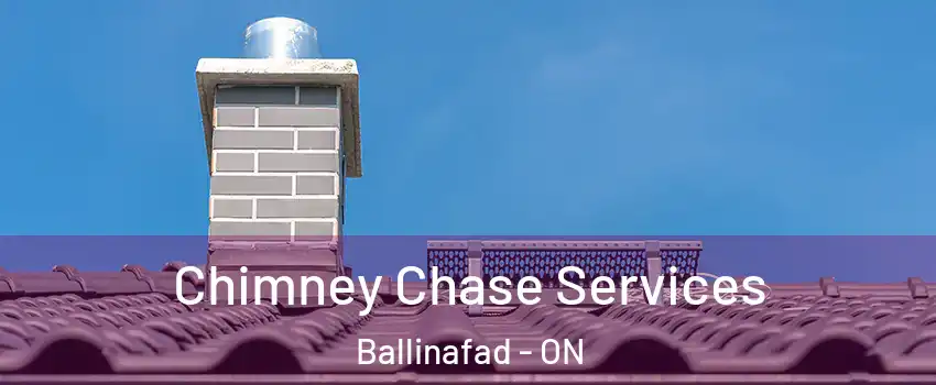  Chimney Chase Services Ballinafad - ON