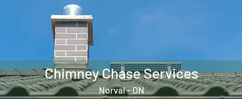  Chimney Chase Services Norval - ON