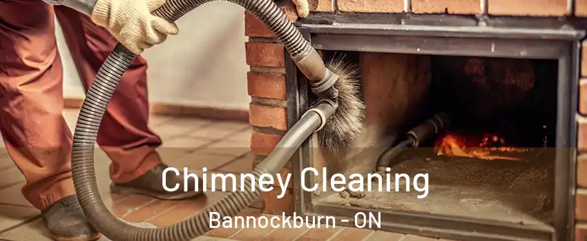  Chimney Cleaning Bannockburn - ON