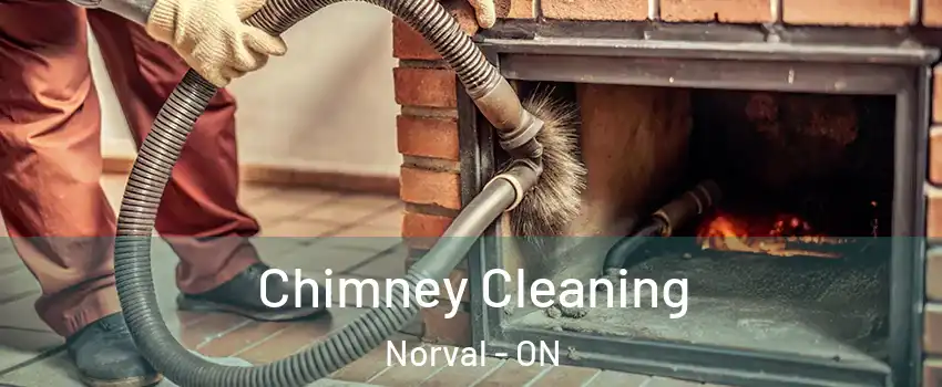  Chimney Cleaning Norval - ON