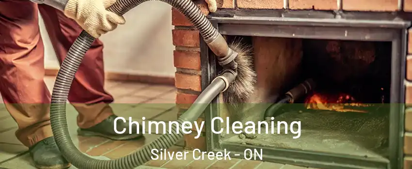 Chimney Cleaning Silver Creek - ON