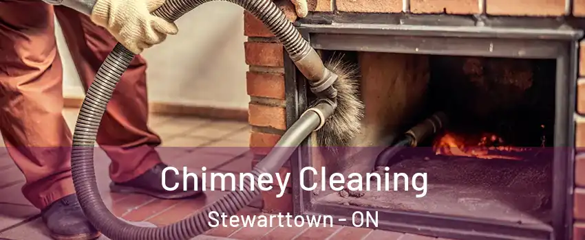  Chimney Cleaning Stewarttown - ON