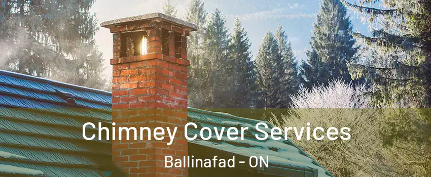  Chimney Cover Services Ballinafad - ON