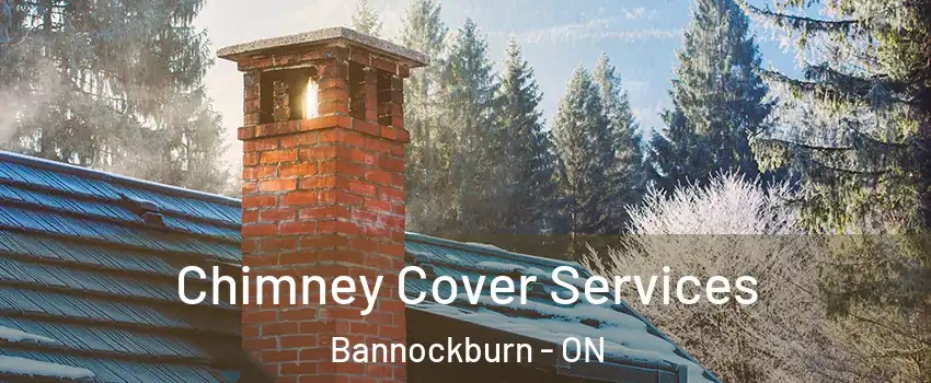  Chimney Cover Services Bannockburn - ON