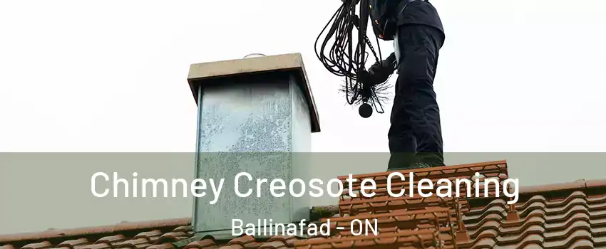  Chimney Creosote Cleaning Ballinafad - ON