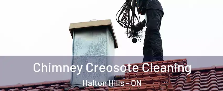  Chimney Creosote Cleaning Halton Hills - ON