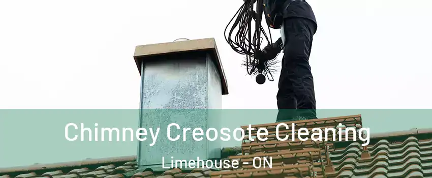  Chimney Creosote Cleaning Limehouse - ON