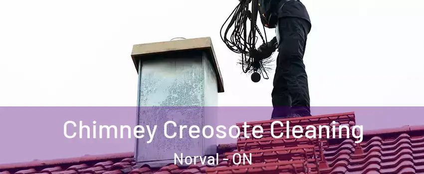  Chimney Creosote Cleaning Norval - ON