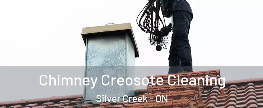  Chimney Creosote Cleaning Silver Creek - ON