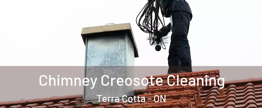  Chimney Creosote Cleaning Terra Cotta - ON