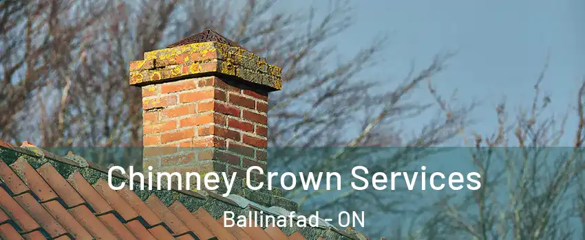  Chimney Crown Services Ballinafad - ON