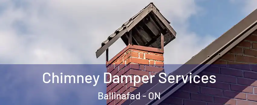 Chimney Damper Services Ballinafad - ON
