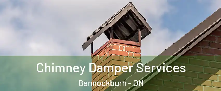  Chimney Damper Services Bannockburn - ON