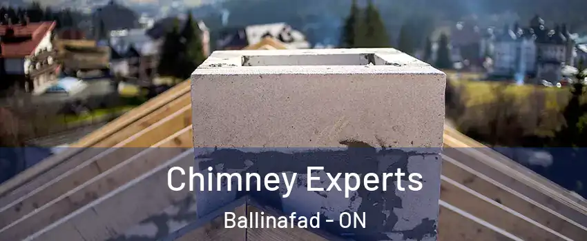  Chimney Experts Ballinafad - ON