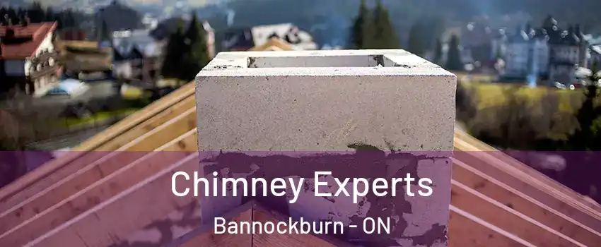  Chimney Experts Bannockburn - ON