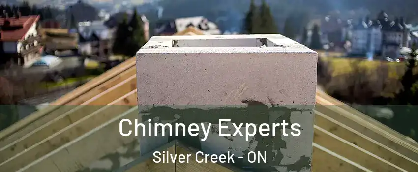  Chimney Experts Silver Creek - ON