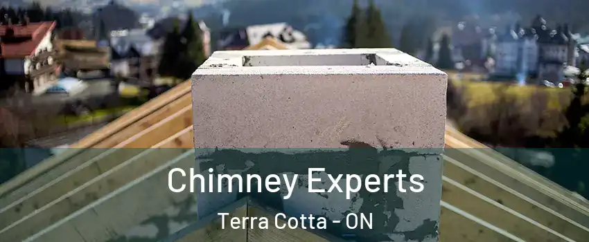  Chimney Experts Terra Cotta - ON