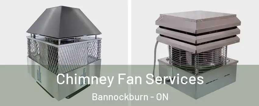  Chimney Fan Services Bannockburn - ON