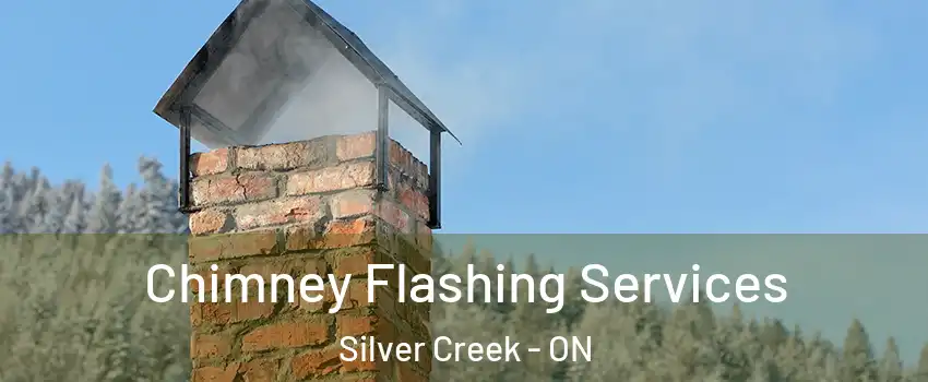  Chimney Flashing Services Silver Creek - ON